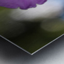 Prairie Beauty Metal print