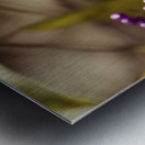 Profusion Metal print