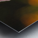 Among Others Metal print