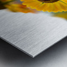 A Beautiful Day Impression metal