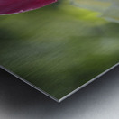 Simple Beauty Metal print