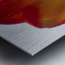 Tall One Metal print