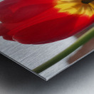 Twin Sisters Metal print