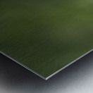 Dew Kissed Flower Bud Metal print