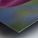 Perfect Day Metal print