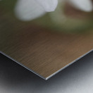 Tiniest World Metal print