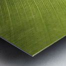 Some Leaf Impression metal