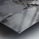 Frozen Goldenrod Metal print