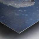 Frozen Top Impression metal