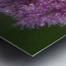 Jewels In Nature Metal print