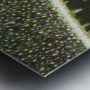 Leaf with Morning Dew Impression metal