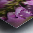 Looking for Something Metal print