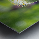 Pretty Onion Metal print