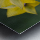 Spring Forward Impression metal