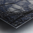 Peaceful Metal print