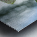 Ornamental Orchid Metal print