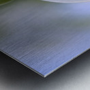 Snowdrop Bulb Metal print