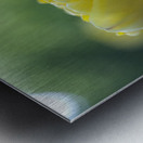 In My Dream Metal print