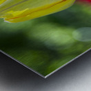 The Yellow One Metal print