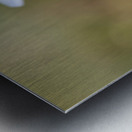 Striped Squill Metal print