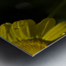 Charming Lady Metal print