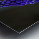 Tiny Blue Bulbs Metal print