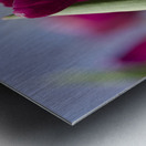 Oh Sunny Day Metal print