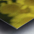 Summer Afternoon Metal print