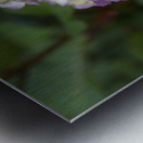 Endless Summer Metal print