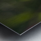 Broken Bowl Flower Metal print