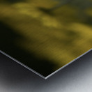 Field of Daisies Metal print