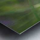 Butterfly Blue Metal print