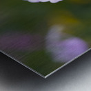 Delicate Ones Metal print