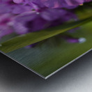 Purple Flame Metal print