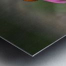 Ladies in Pink Metal print