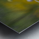 Pretty Lovely Impression metal