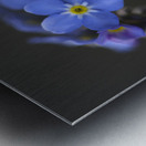 Pretty in Blue Metal print