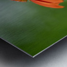 Orange You Awesome Metal print