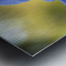 Lucky Devil Metal print