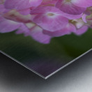 Tea of Heaven Metal print