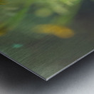 Wild Marigolds Impression metal