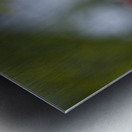 The Graceful Metal print