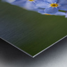 Scorption Grasses Metal print