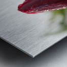 Red Beauty Metal print