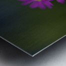 Dainty Blossoms Metal print