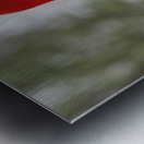 Leaning Tulip Metal print