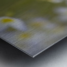 Pretty Ladies Metal print