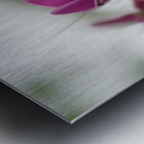 Shooting Star Metal print