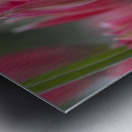 Charming Ladies Metal print