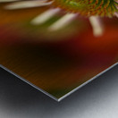 Budding Coneflowers Metal print